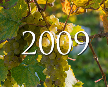 2009Vintage 2009Vintage