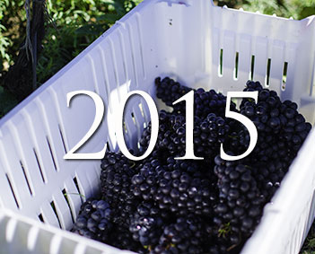 2015Vintage 2015Vintage