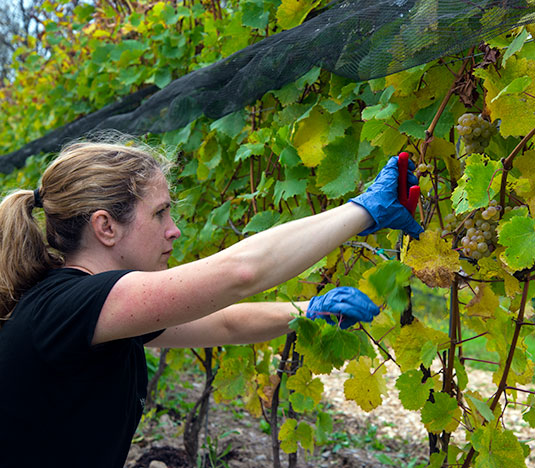 susanBioPage susanBioPage