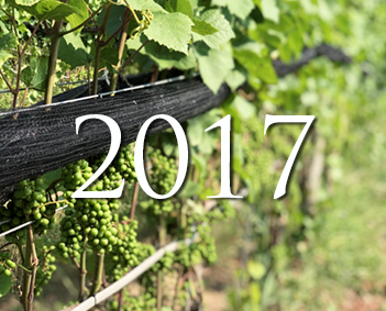 2017-Vintage-Report_vf 2017-Vintage-Report_vf