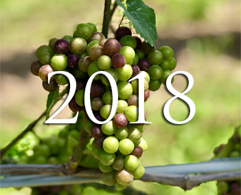 2018-Vintage-Report 2018-Vintage-Report