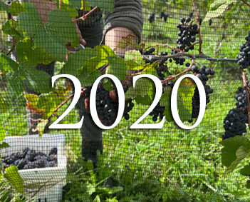 2020-Vintage-Rpt-IMG_1681 2020-Vintage-Rpt-IMG_1681