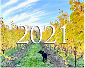 2021-Vintage-Rpt-IMG_2264 2021-Vintage-Rpt-IMG_2264