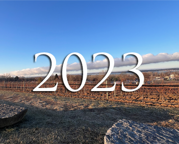 2023-Vintage-Rpt 2023-Vintage-Rpt