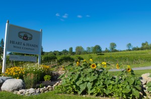 Estate Vineyard Entrance
